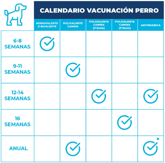 calendario-etapas-1