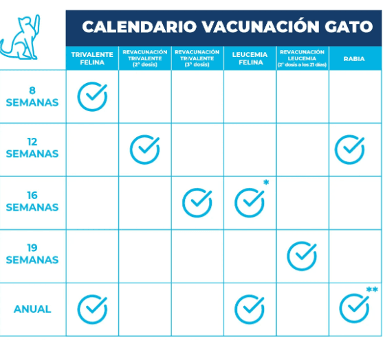 calendario-etapas-2