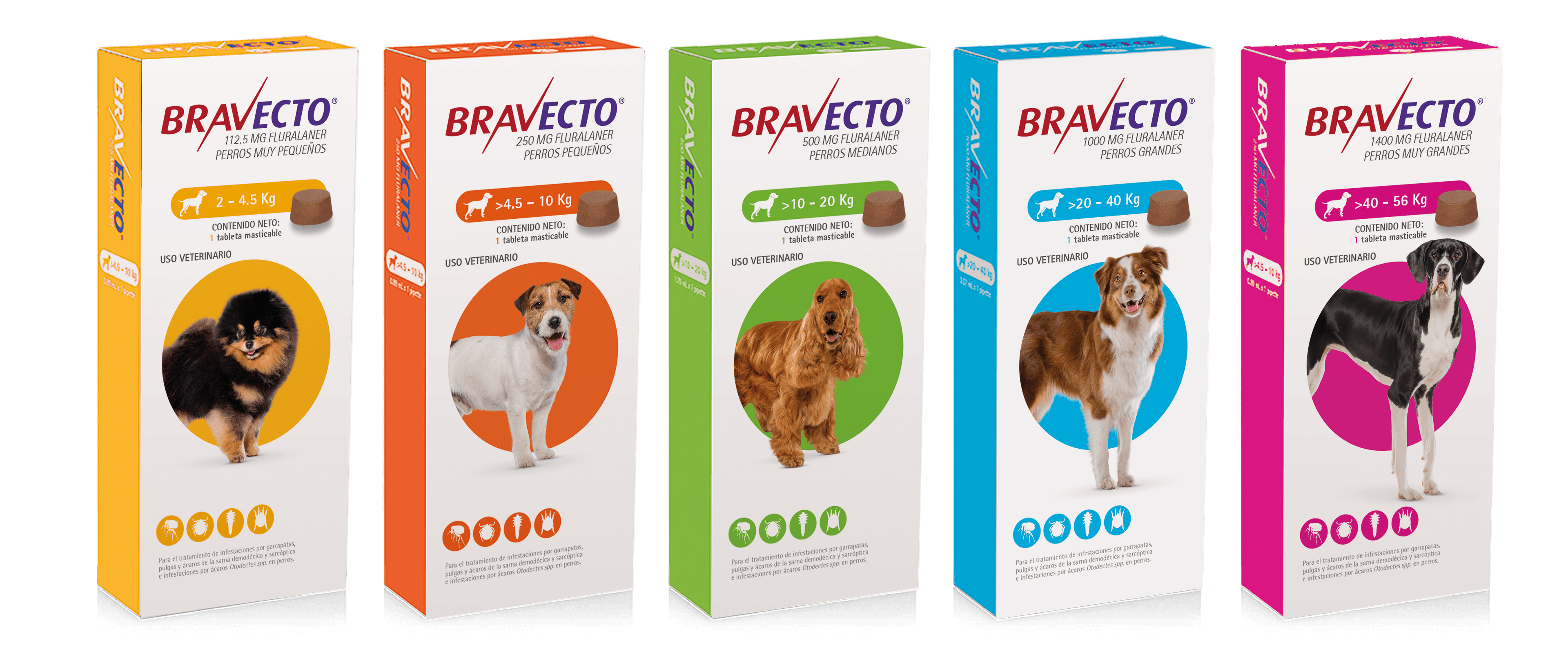 bravecto-presentacion